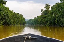  Kinabatangan River 2-Day Minibus and Boat Sharing Tour