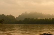  Kinabatangan River 2-Day Minibus and Boat Sharing Tour
