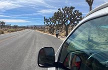 Private Sightseeing & Adventure tour of Joshua Tree National Park