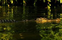 3D2N Jungle Wildlife Adventure in Sandakan (Full Board)