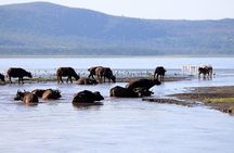 2-Day Tour in Lake Nakuru, Hell's Gate and Lake Naivasha
