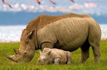 2-Day Tour in Lake Nakuru, Hell's Gate and Lake Naivasha