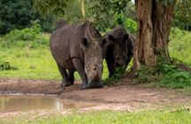 6 Days Big Five Tour Adventure & Chimpanzee Tracking