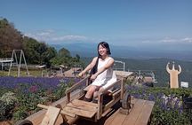 Mon Jam, Elefin Café, and Cypress Lane Chiang Mai