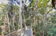 Sydney to Port Macquarie and Mid North Coast Private Tour 4 Days.