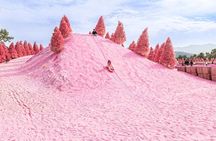 Romantic Winter Wonderland Tour from Seoul