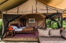 8 Day Mid Range Serengeti Wildebeests Migration