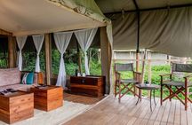 8 Day Mid Range Serengeti Wildebeests Migration