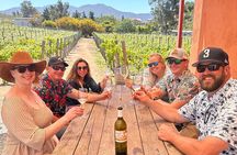 Private Ensenada Tacos and Wine Tour 