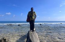 Rouge Beach Forest Walk