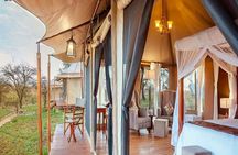 Private 6 Day Great Wildebeest Migration Ndutu Calving Season
