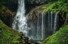 Nikko Full Day Customize Private tour
