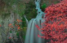 Nikko Full Day Customize Private tour