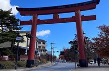 Nikko Full Day Customize Private tour