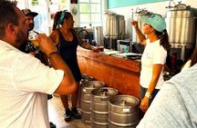 Shore Excursion Flavors of Mexico Tacos Beer and Mezcal