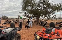 Quad Agadir & Crocoparc: Combined Excursion & Transfers