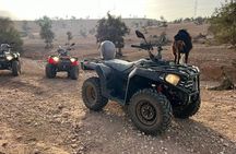 Quad Agadir & Crocoparc: Combined Excursion & Transfers
