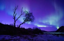 Tromsø Northern Lights with Campfire and Professional Photos