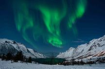 Tromsø Northern Lights with Campfire and Professional Photos