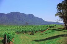 Private Hunter Valley Escape Tour From Sydney
