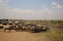 3 Days Masai Mara Safari Adventure