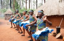 Half-Day Cultural Tour to Bomas of Kenya in Nairobi