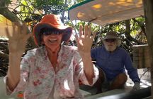 Private Tour on Roatan with a Professional Guide