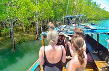 Half Day Sea Cave Kayaking Small Group From Koh Lanta