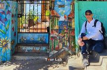 Valparaíso & Wine Tasting – Art, Culture & 5 Premium Wines