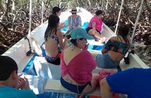 Roatan Eastern Odyssey Mangroves Tunnel , ATV and Beach 