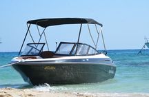 Dolphin watching & snorkelling by a private Speedboat in Hurghada
