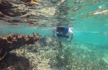 Boat Ride and Snorkeling in Punta Nizuc