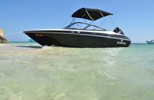 Private Speedboat swimming and Dolphin Watching in Hurghada
