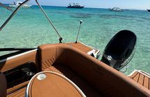 Private Speedboat swimming and Dolphin Watching in Hurghada