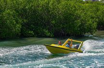 Jungle Tour with Snorkel in Cancun