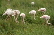 2 Days Tarangire and Ngorongoro Mid-Range Group Safari