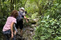 Private Tour with Guide in Salento and Cocora Valley with Lunch 