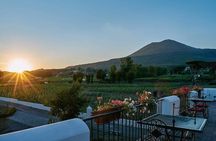 Pompeii Tour, Lunch and Vesuvius Wine Tasting