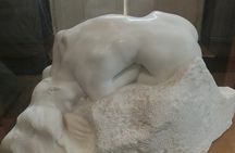 Musée Rodin Private Guided Tour - an artist's insight