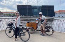 Private 2 hours E-Bike Tours in Copenhagen Your Way