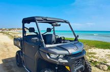 Aruba Rental Explore On Your Own