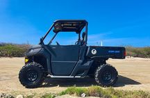 Aruba Rental Explore On Your Own