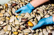 Sydney Fish Market Discovery Tour