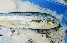 Sydney Fish Market Behind the Scenes Tour