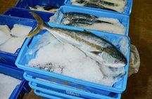 Sydney Fish Market Behind the Scenes Tour