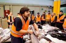 Sydney Fish Market Behind the Scenes Walking Tour