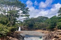 Private Customized Big Island Adventure Tour (4-6 Hours)