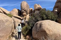 Sightseeing Adventure Tour of Joshua Tree National Park