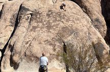 Sightseeing Adventure Tour of Joshua Tree National Park
