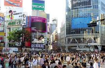 Tokyo City Customized Private Day Tour